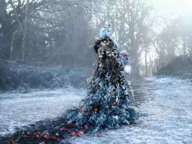 16422747_1244117292292251_1479948604027038969_o